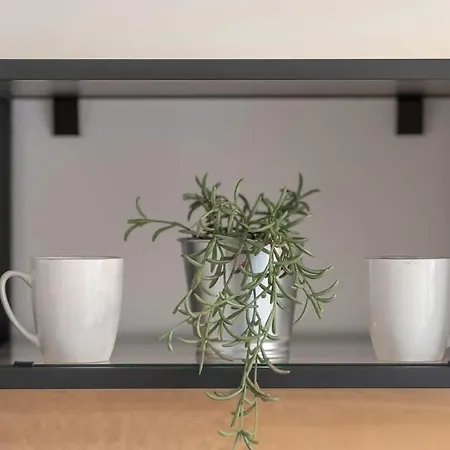 Cozy Remote Work By Renters Poznan